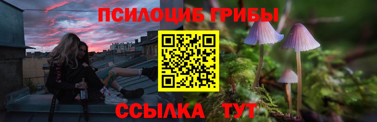 Междуреченск  Галлюциногенные грибы прущие грибы  наркота  Вход с VPN  Псилоцибиновые грибы мухоморы 